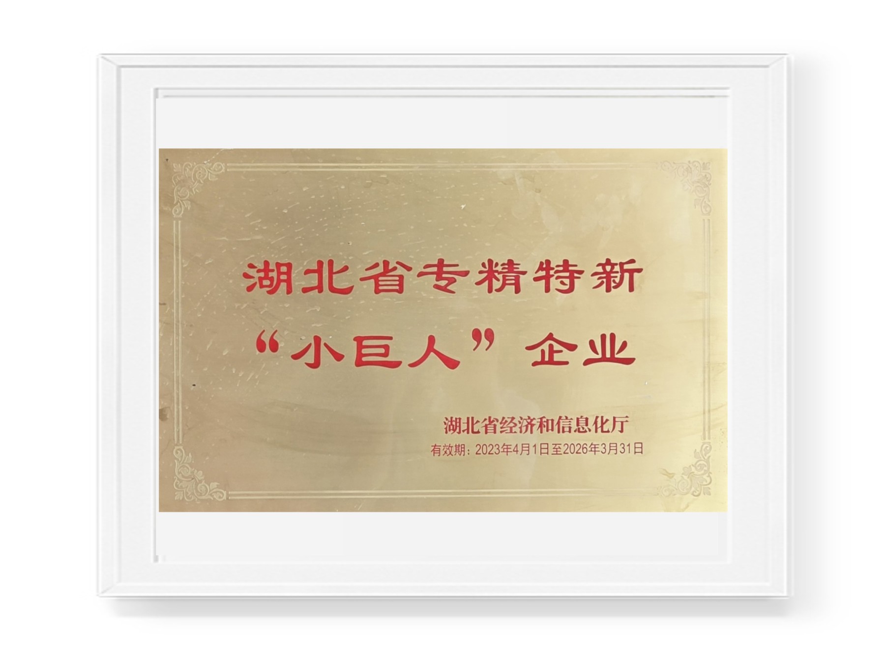 专精特新小巨人企业