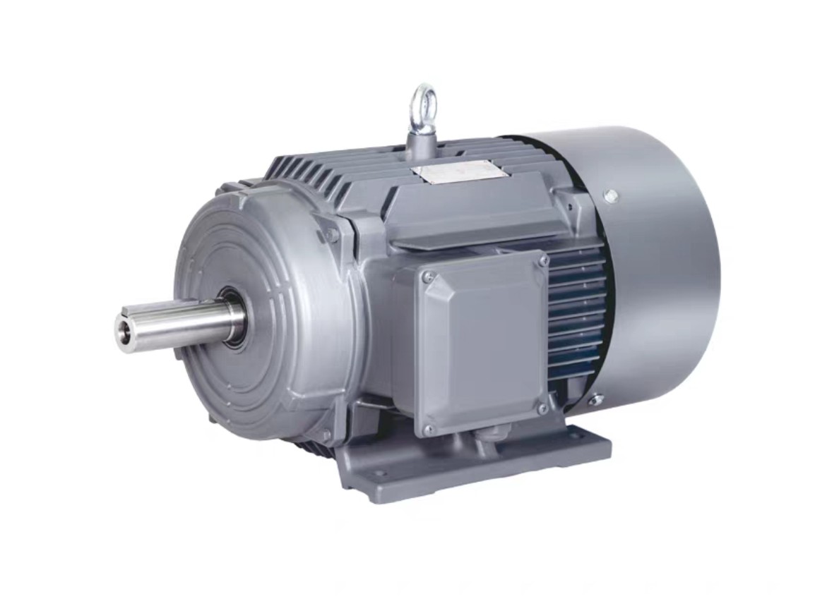 <strong> YE3系列（IE3高效）三相异步电机</strong>