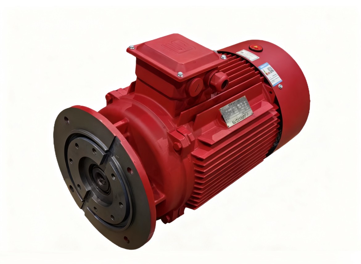  全系列非标定制电动机 